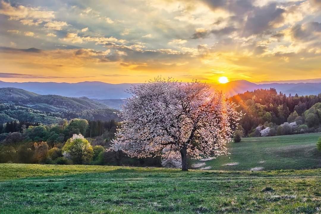 Penzion** Amalka Hriňová Exteriér fotografie