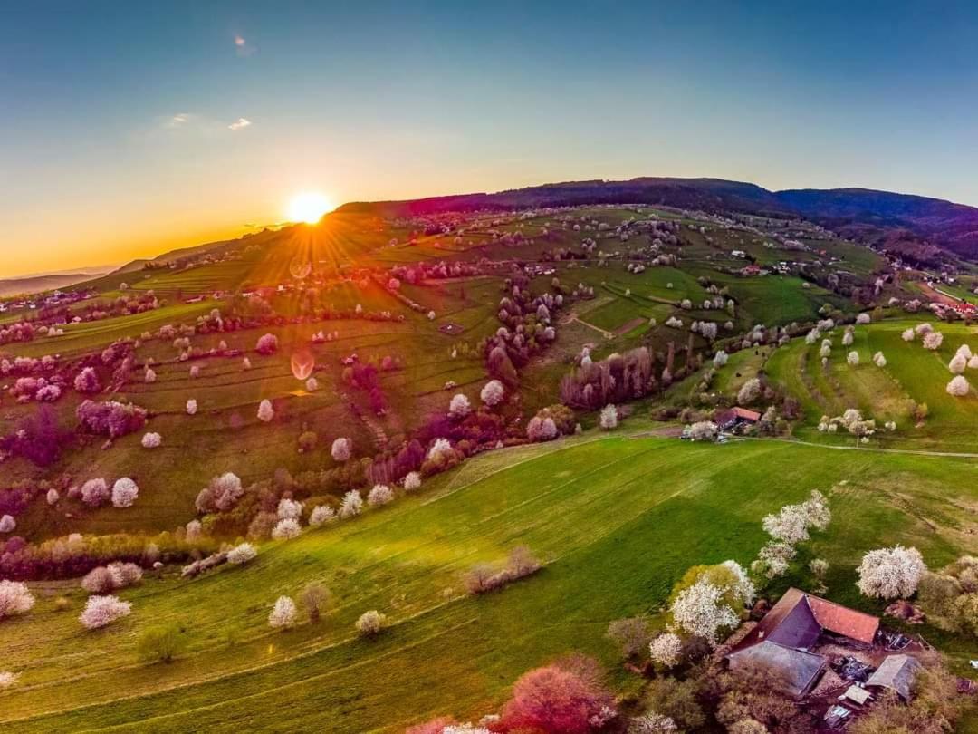 Penzion** Amalka Hriňová Exteriér fotografie