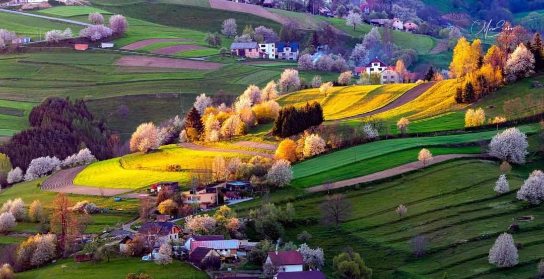 Penzion** Amalka Hriňová Exteriér fotografie