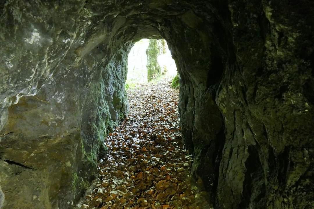 Penzion** Amalka Hriňová Exteriér fotografie